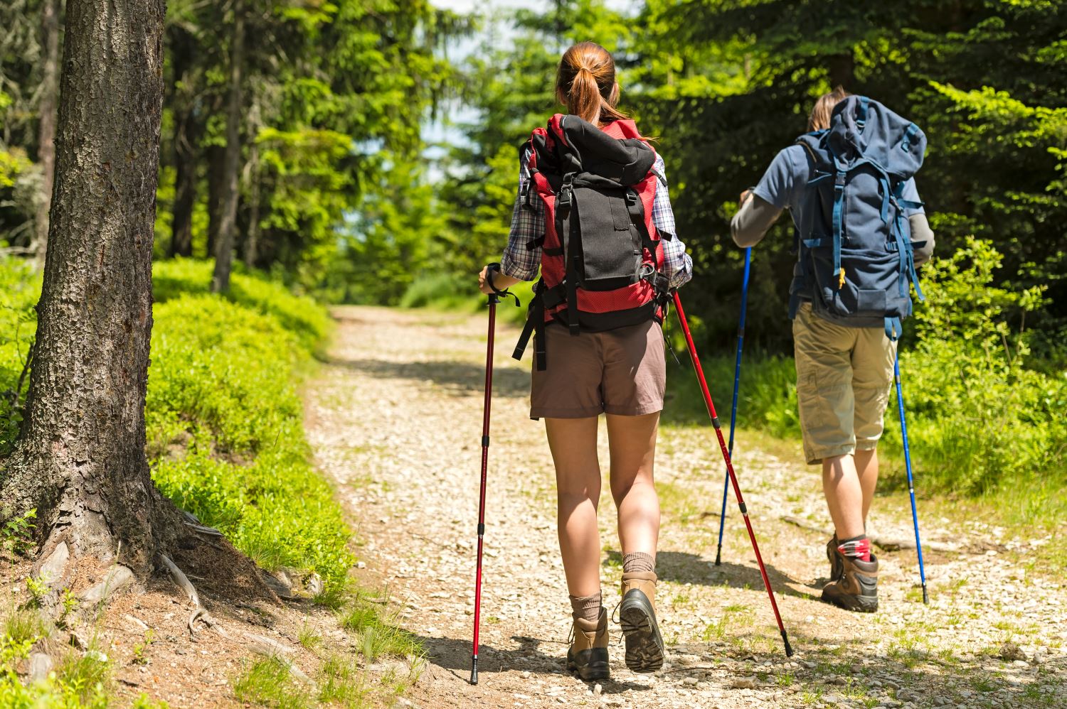 Wandern im Harz Beispielbild