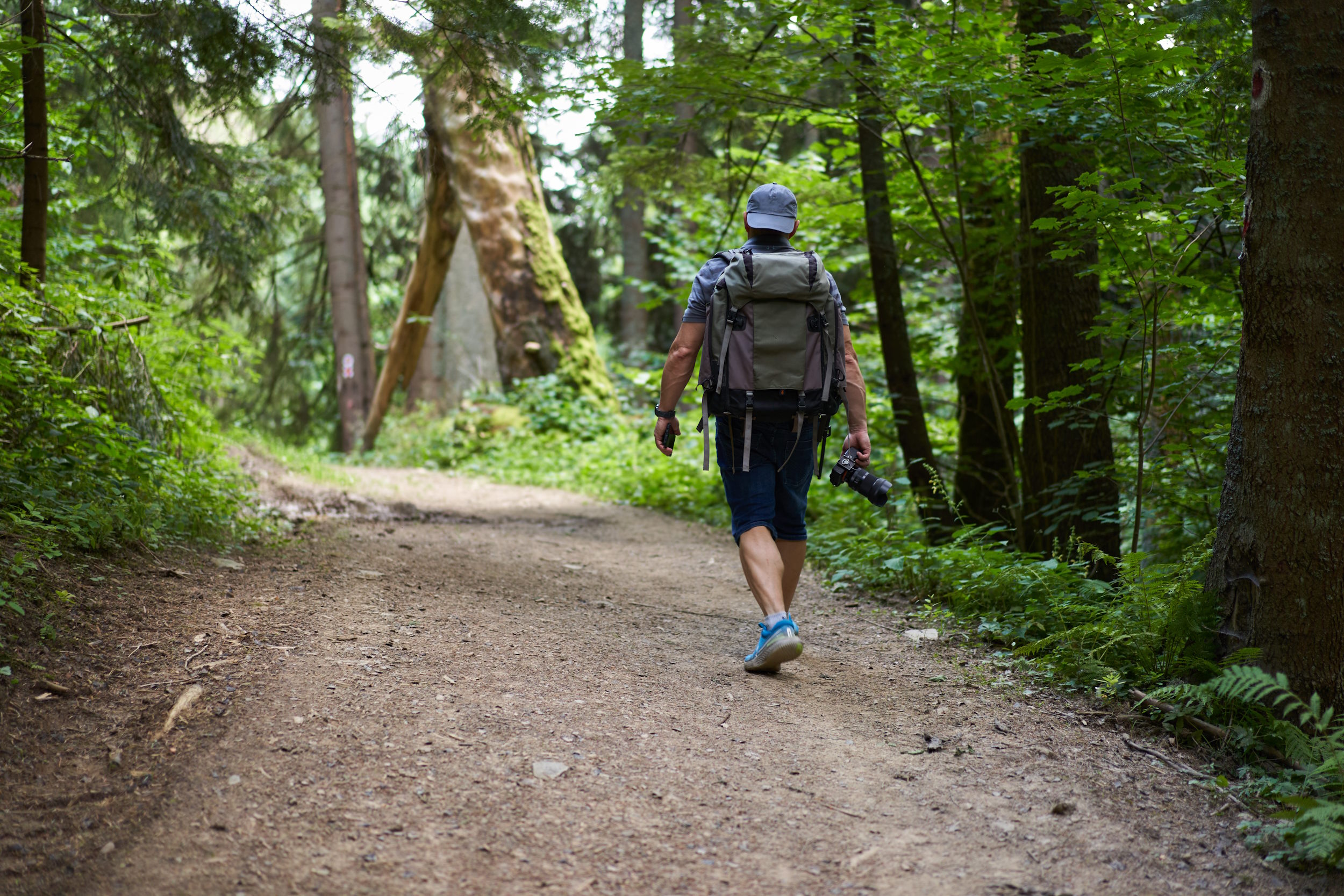 Wandern